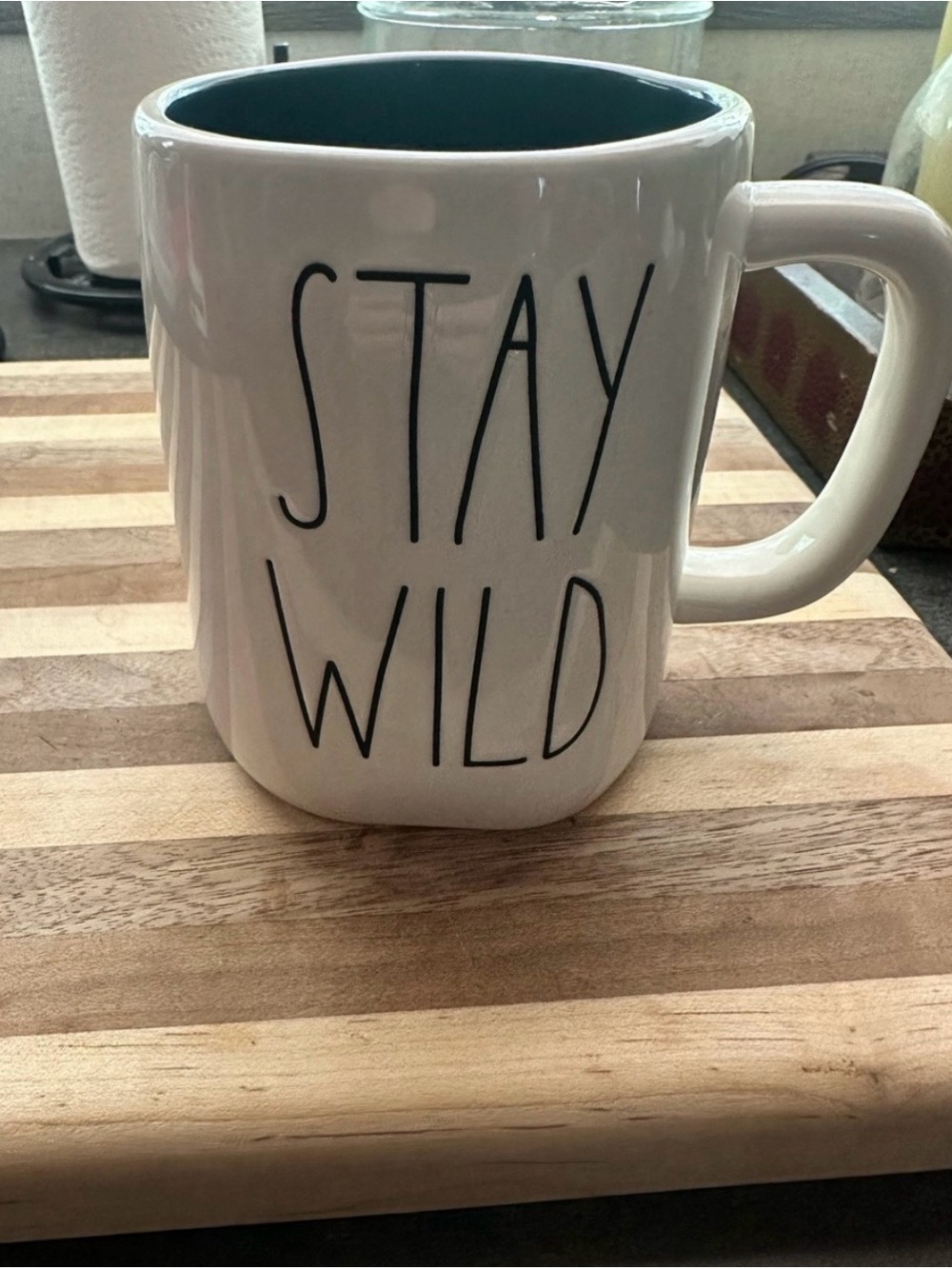 Rae Dunn Ceramic 'Stay Wild' Mug with Teal Interior